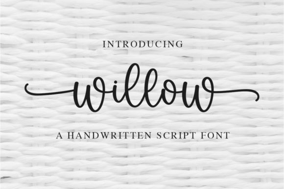 Willow Font: Elegant Typography for Creative Projects